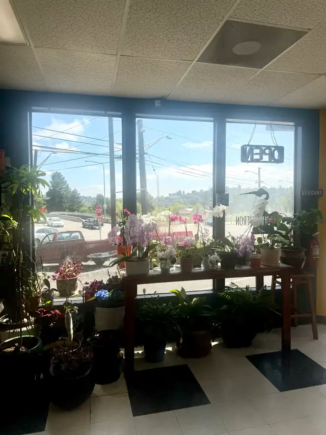Orchids and houseplants crowding the front window at Blue Heron, with the OPEN sign hanging in the glass and Magnolia beyond